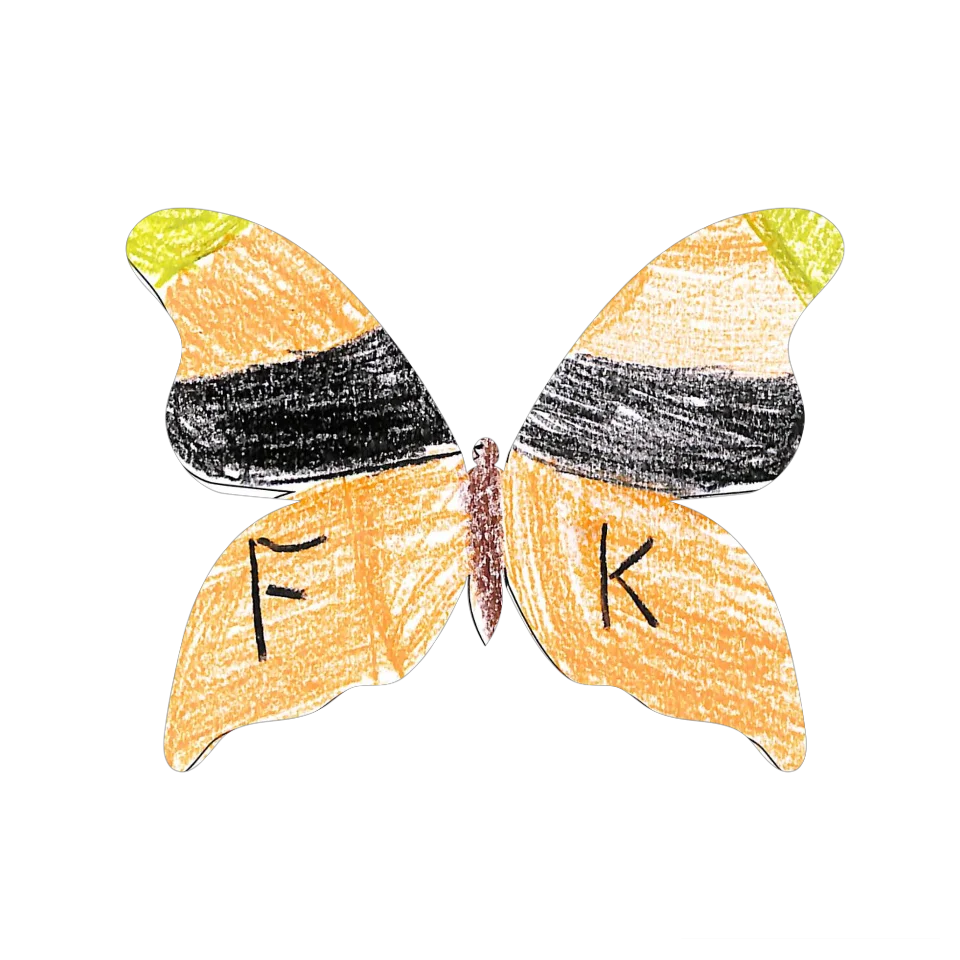 Original Butterfly Image