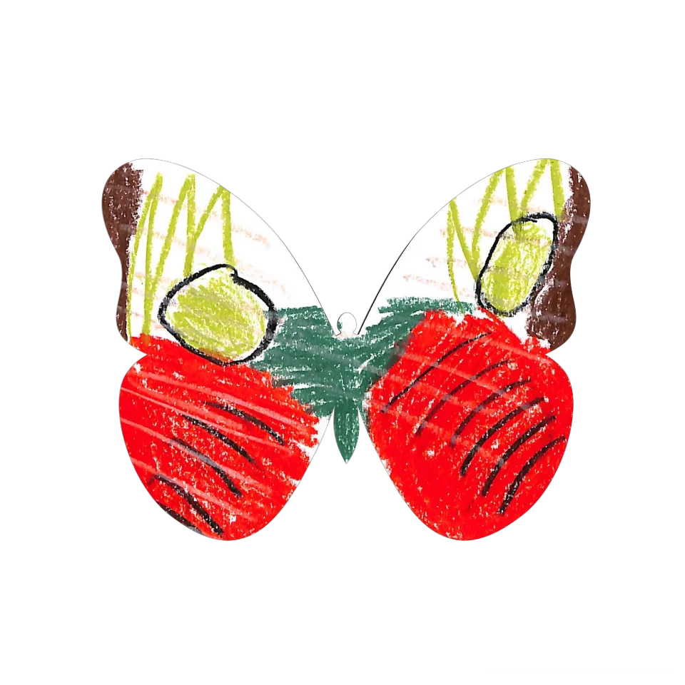 Original Butterfly Image