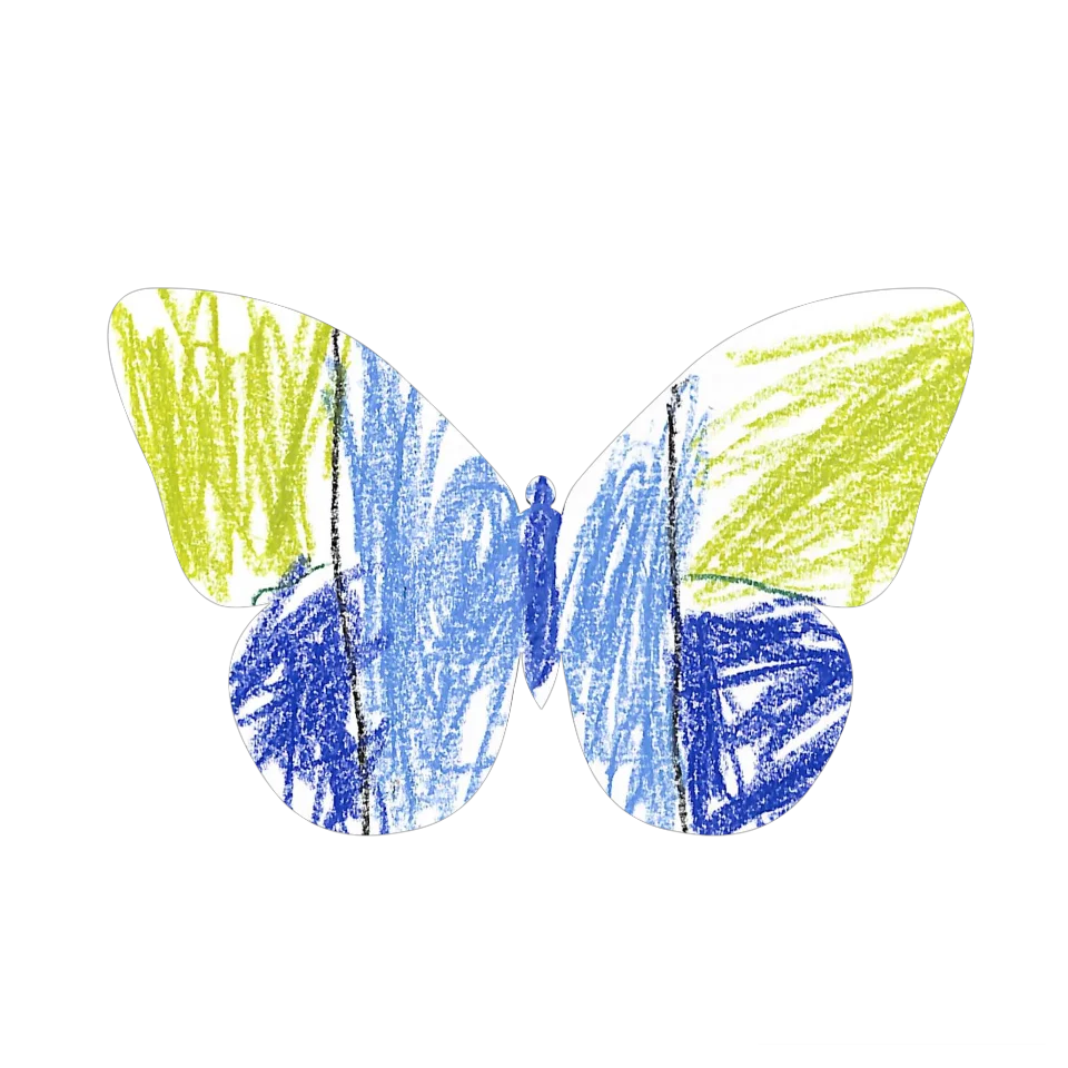 Original Butterfly Image
