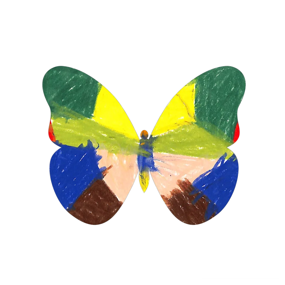 Original Butterfly Image