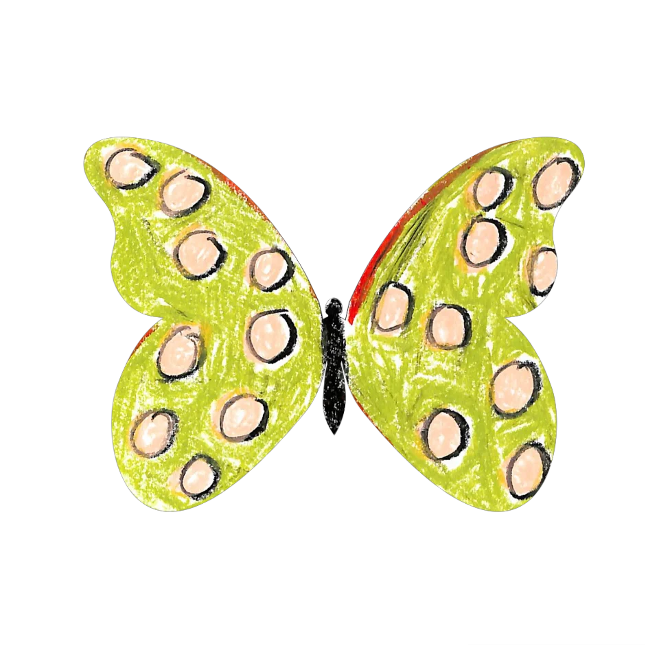 Original Butterfly Image