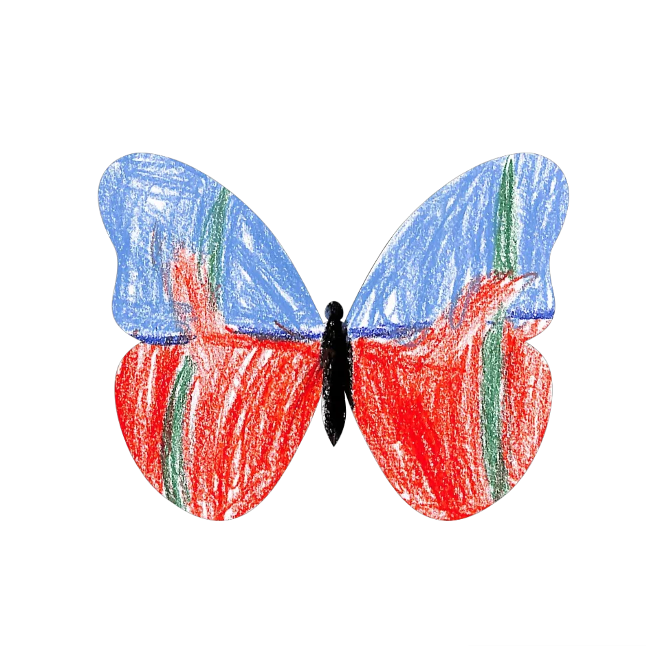 Original Butterfly Image