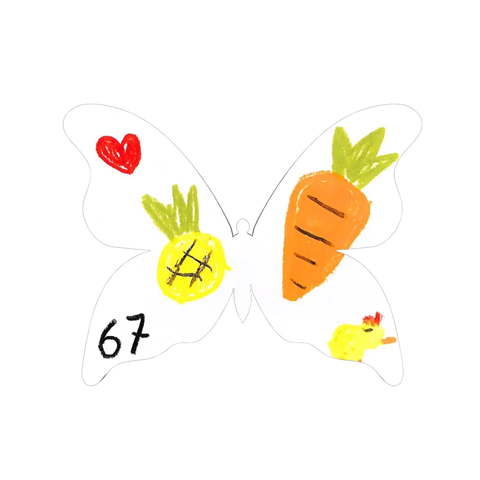 Original Butterfly Image