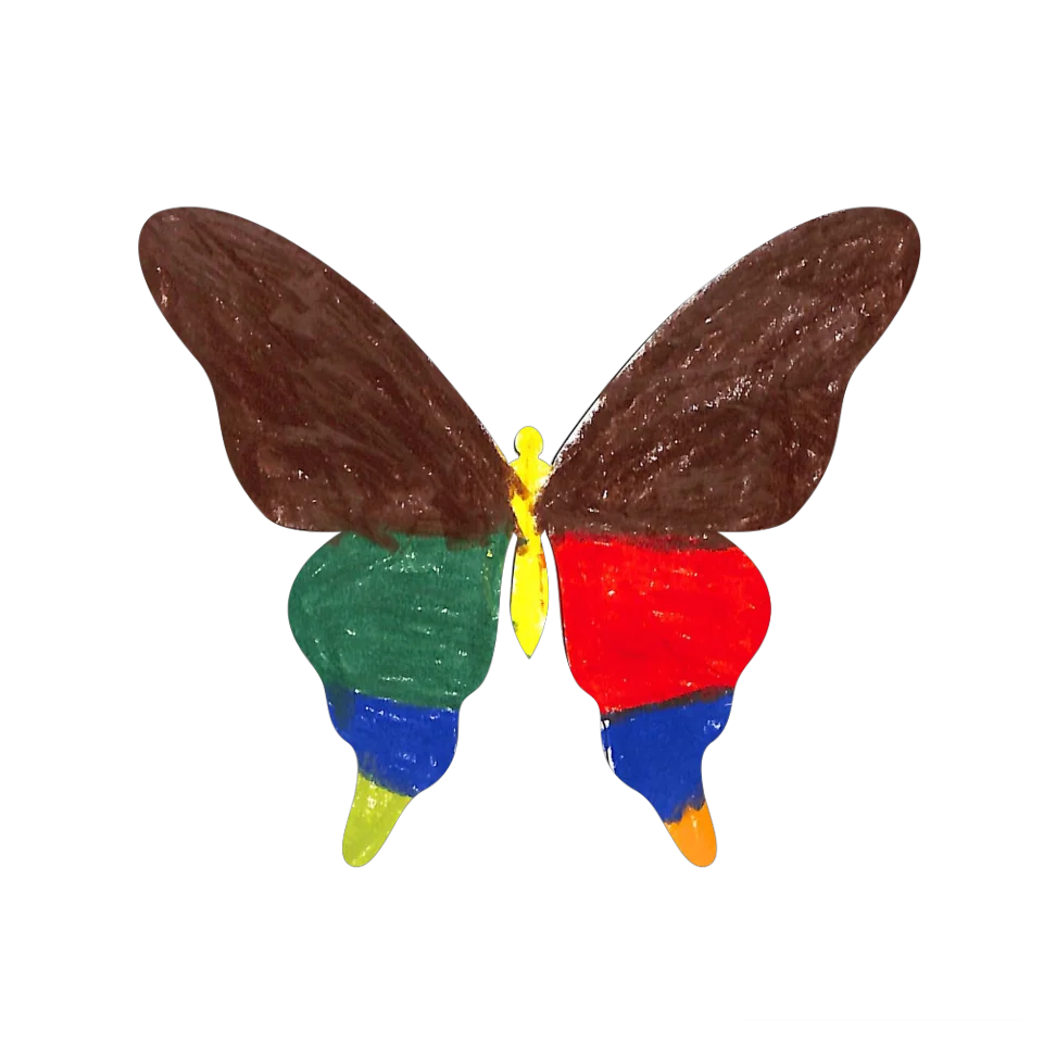 Original Butterfly Image