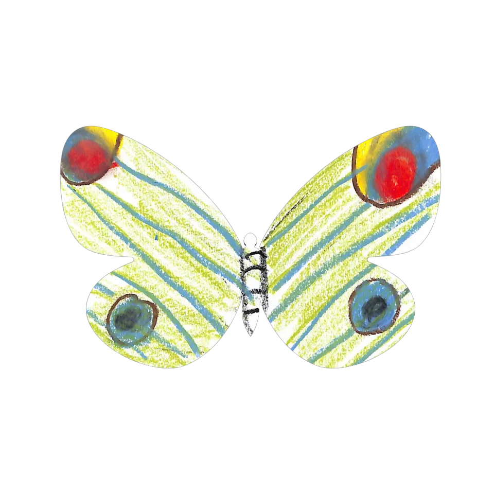 Original Butterfly Image