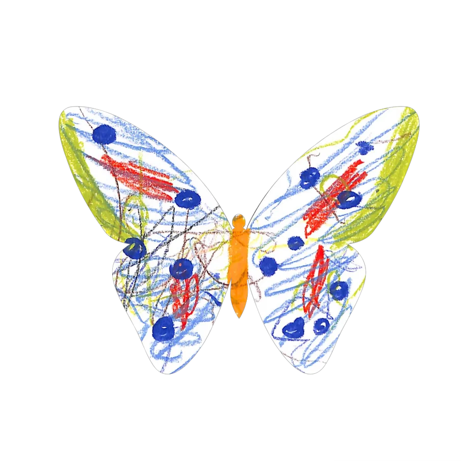 Original Butterfly Image