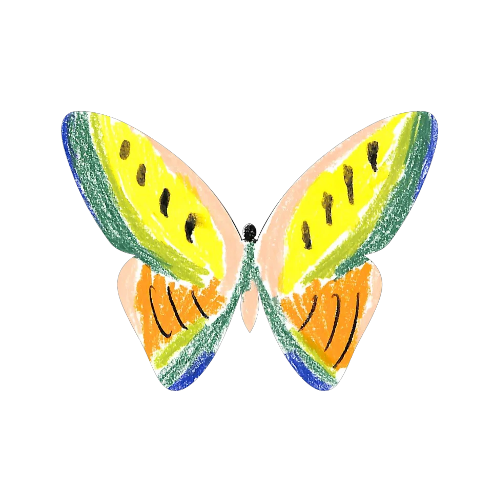 Original Butterfly Image