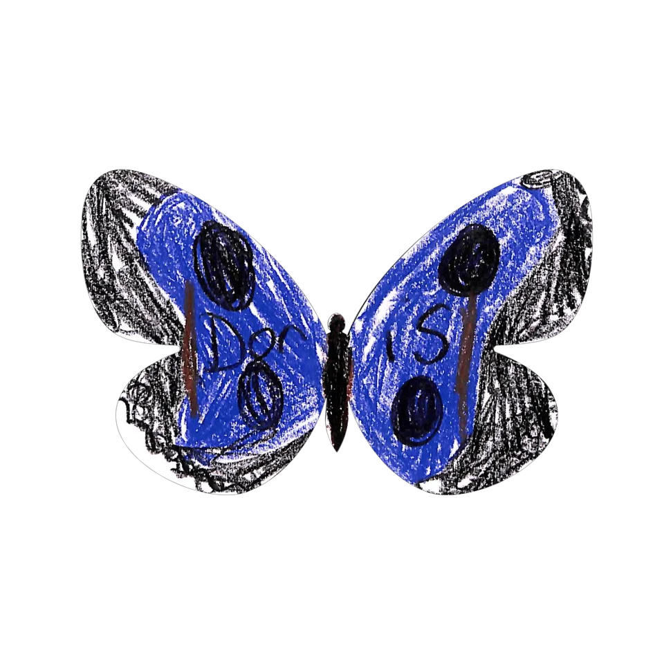 Original Butterfly Image
