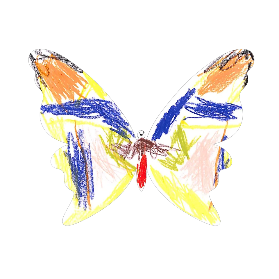 Original Butterfly Image