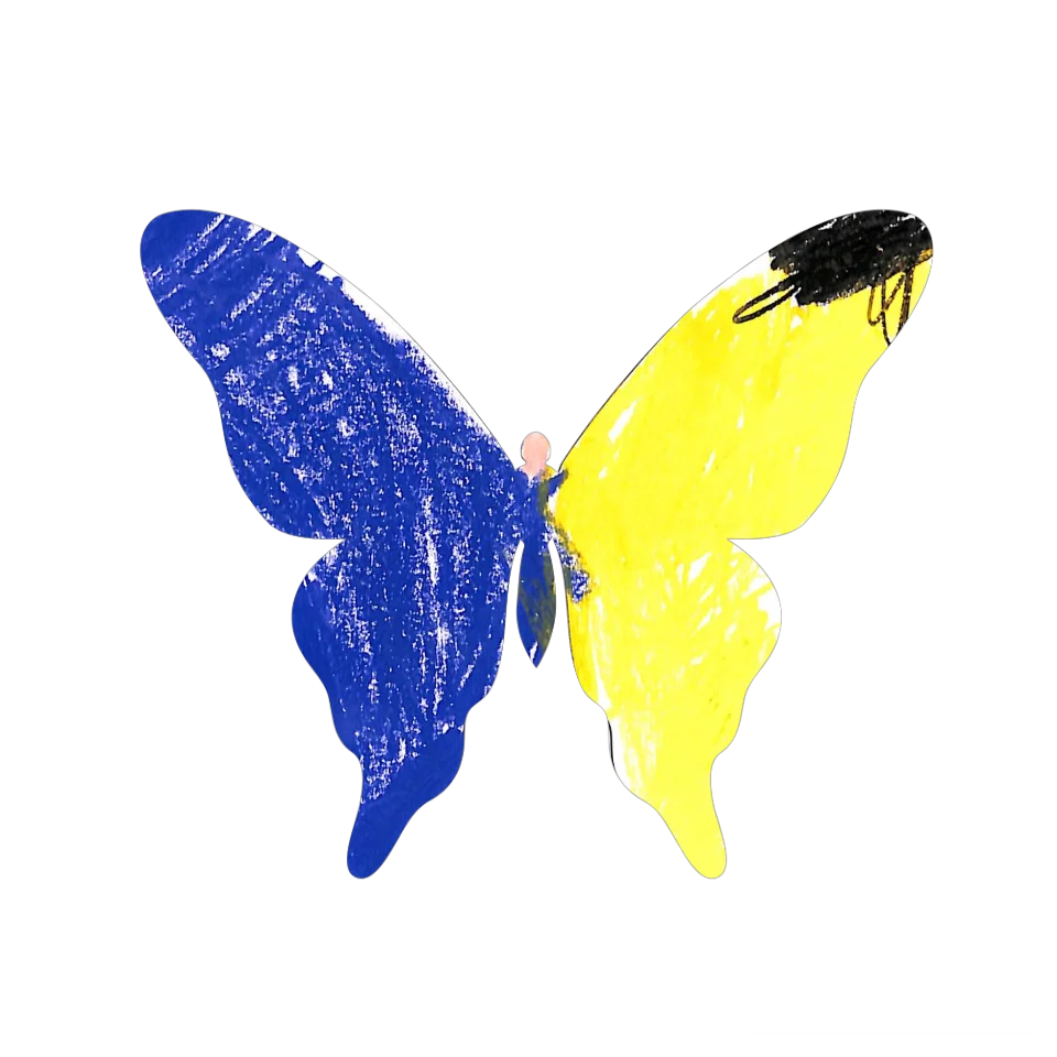 Original Butterfly Image