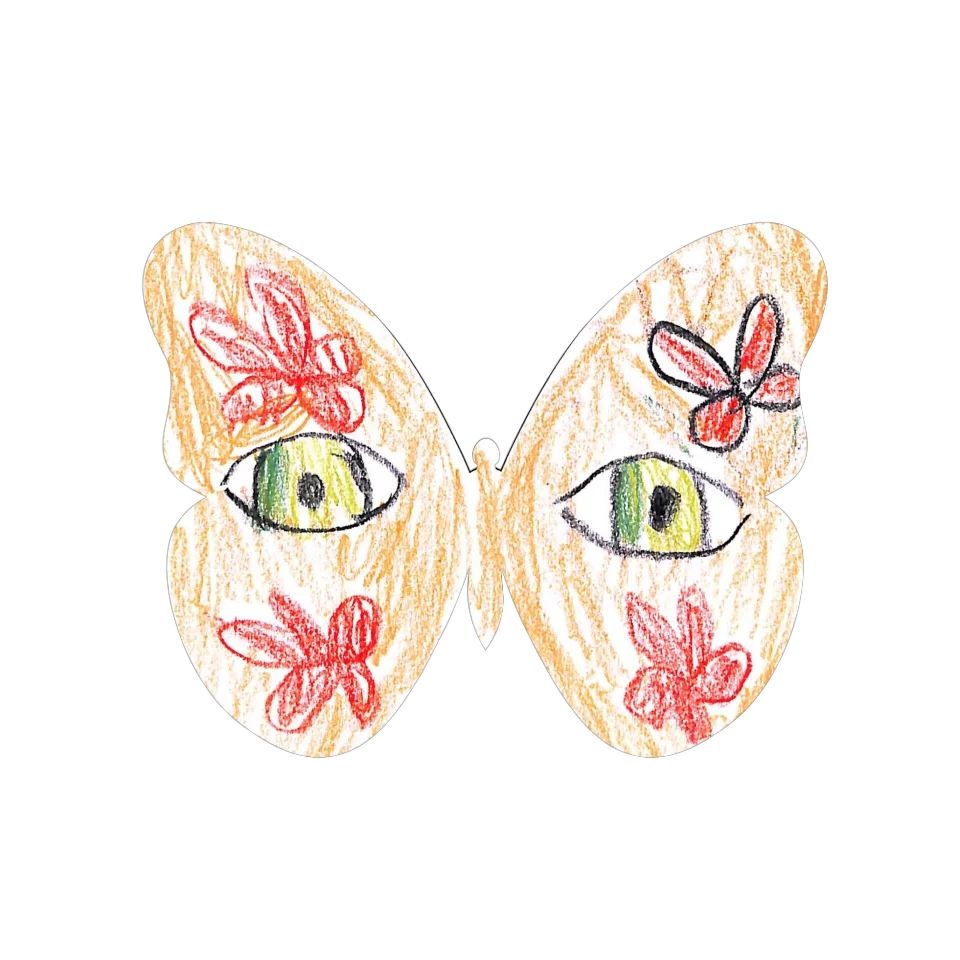 Original Butterfly Image