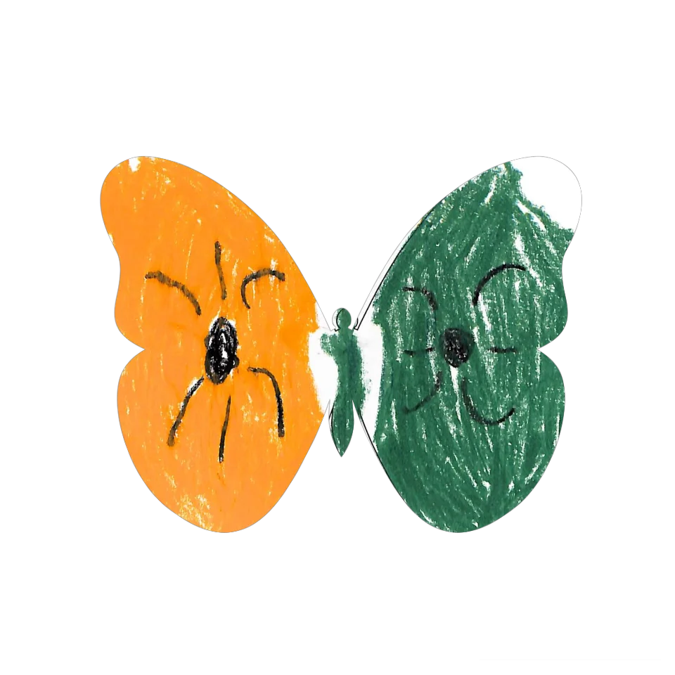Original Butterfly Image