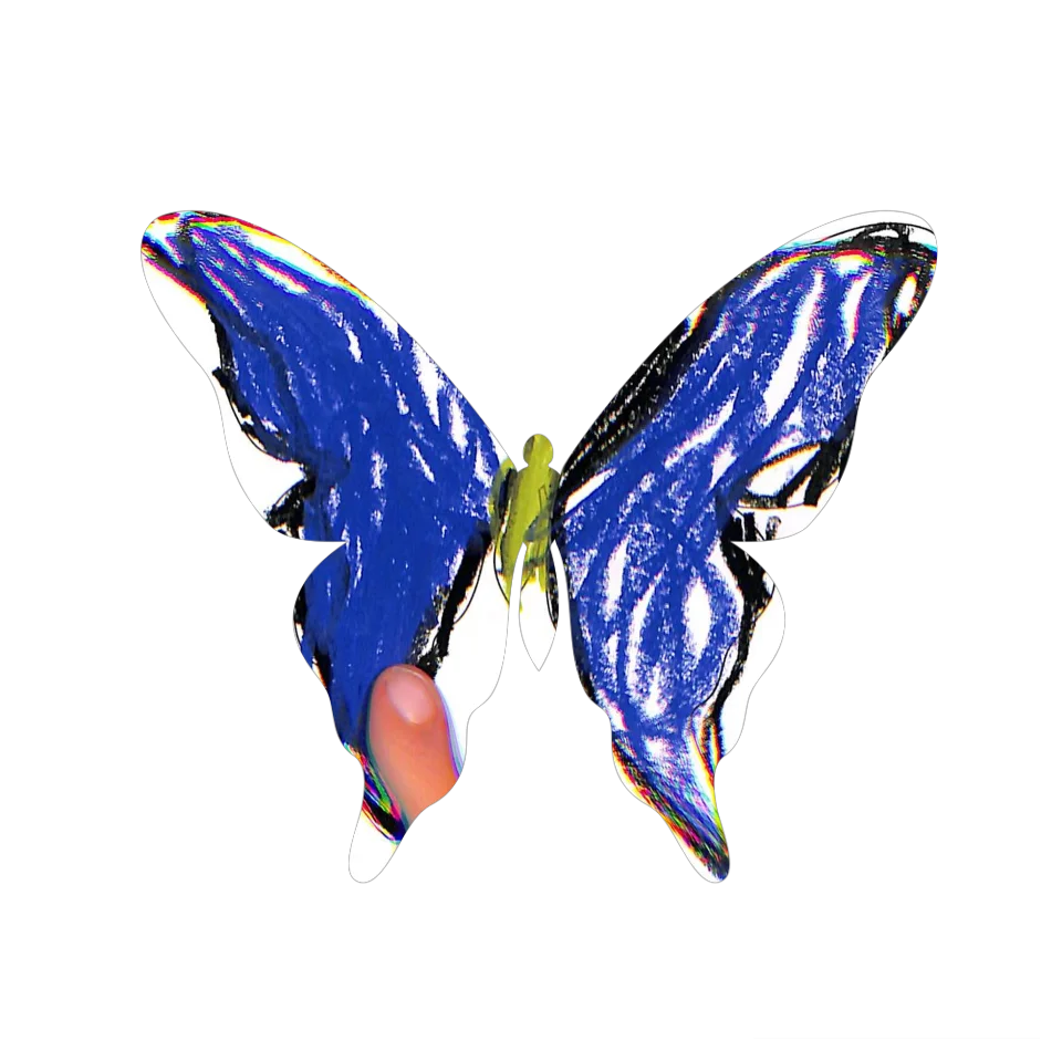 Original Butterfly Image