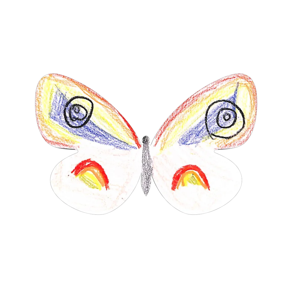 Original Butterfly Image