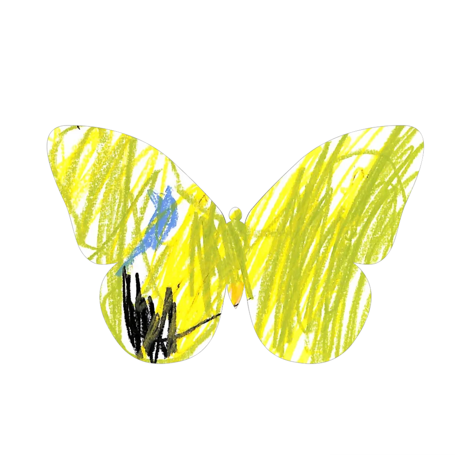 Original Butterfly Image
