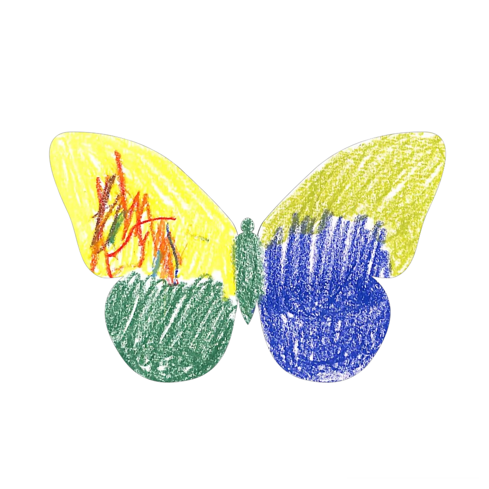 Original Butterfly Image