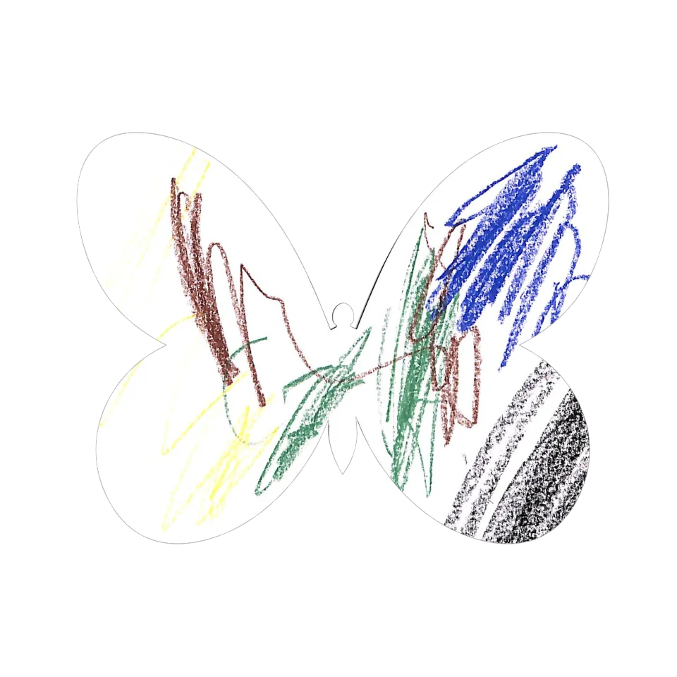 Original Butterfly Image