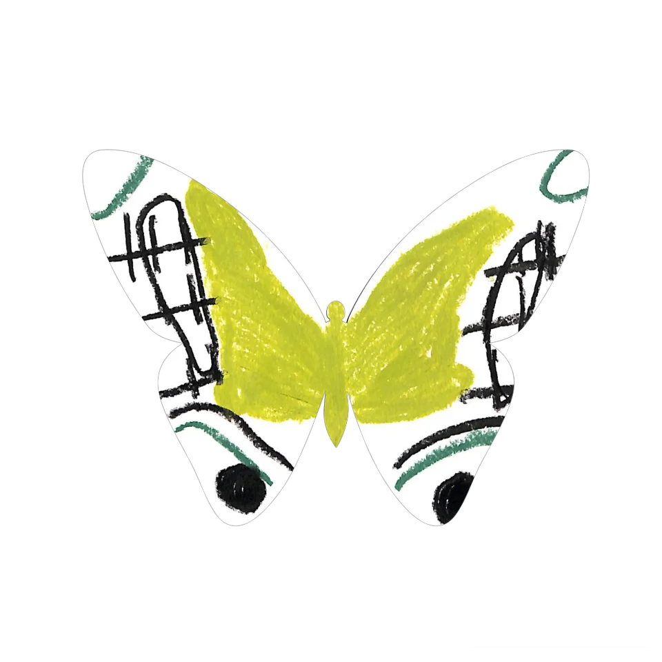 Original Butterfly Image