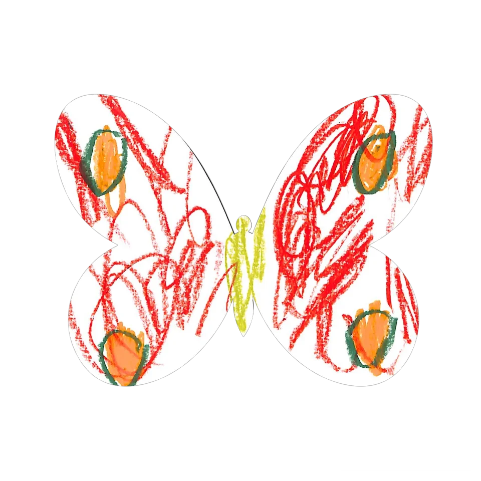 Original Butterfly Image
