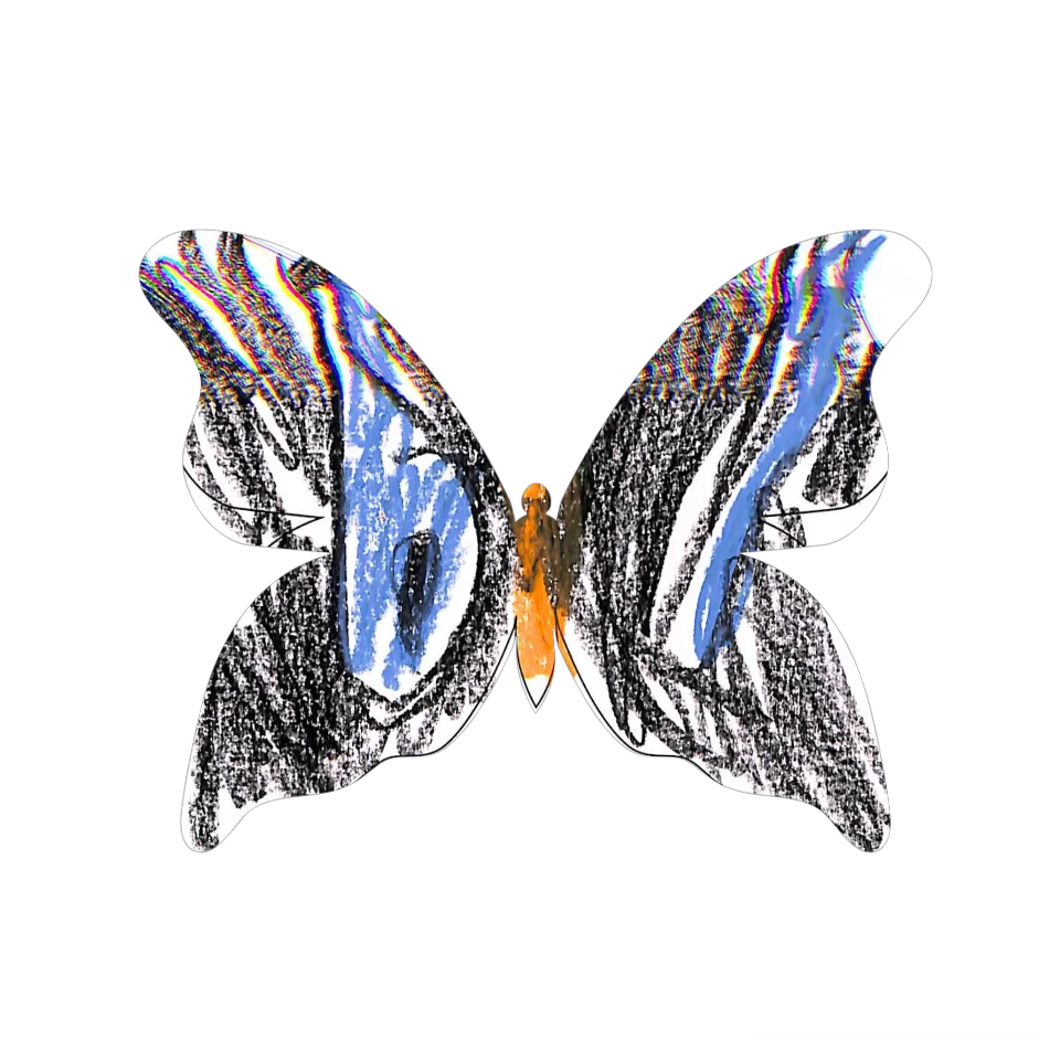 Original Butterfly Image
