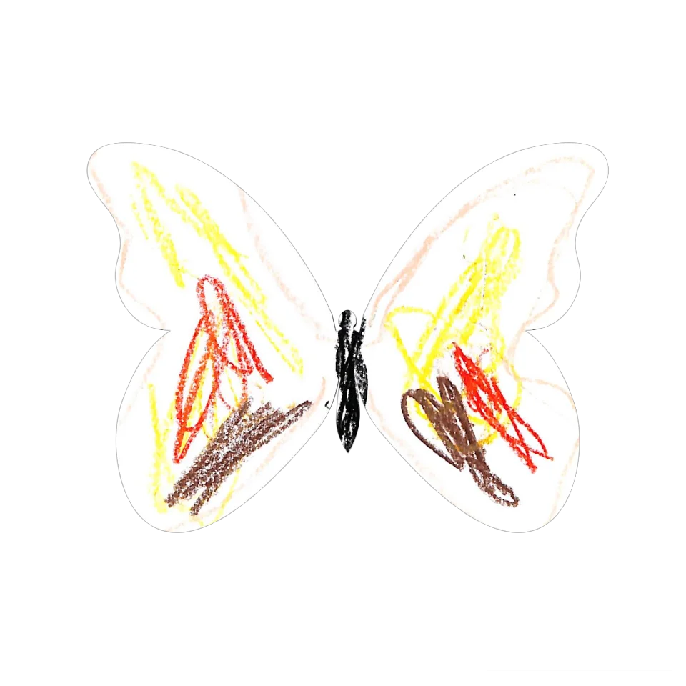 Original Butterfly Image