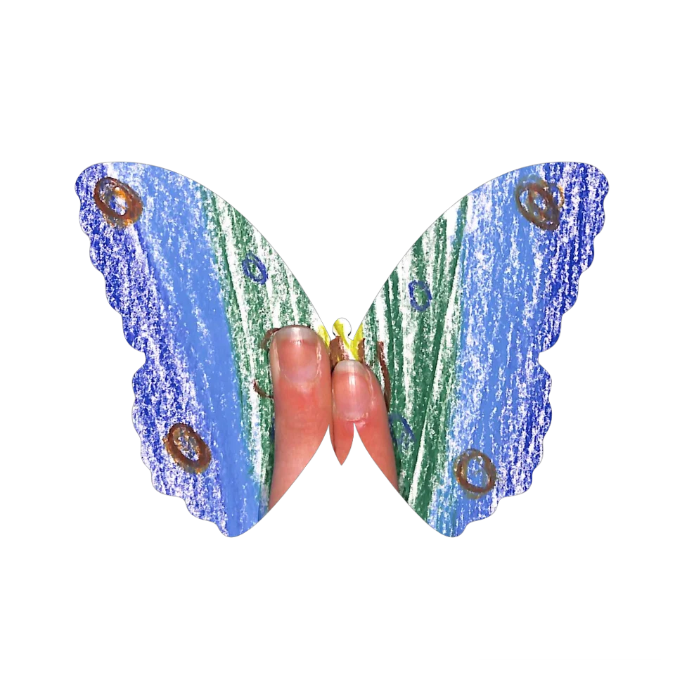 Original Butterfly Image