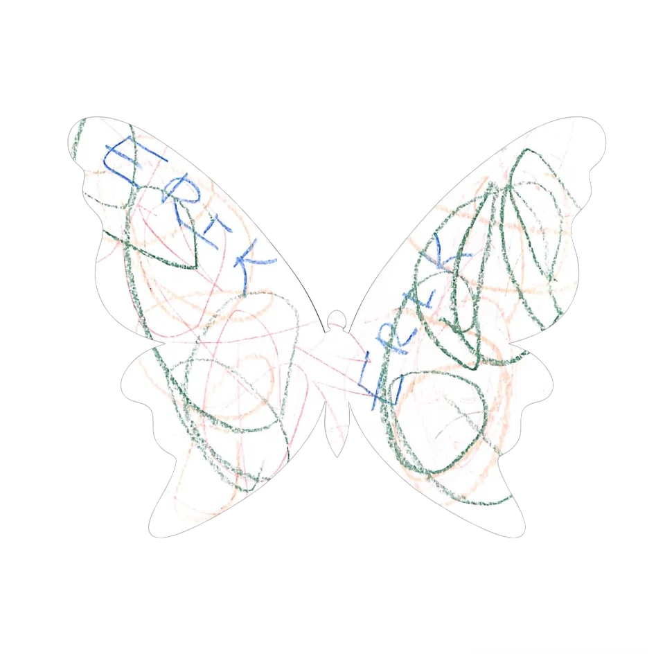 Original Butterfly Image