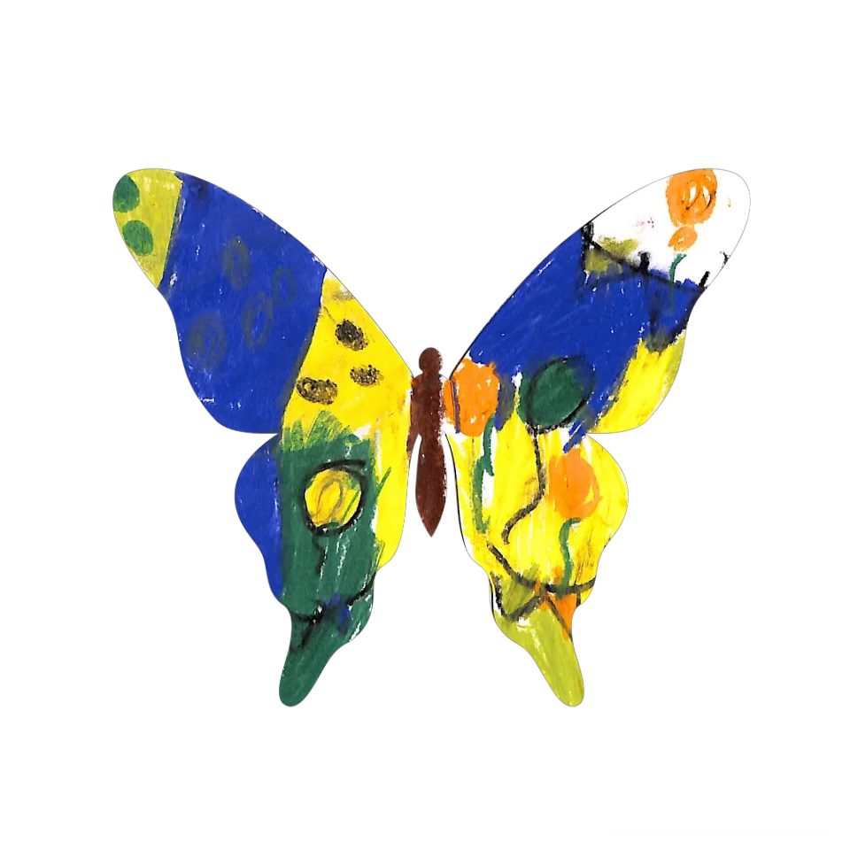 Original Butterfly Image