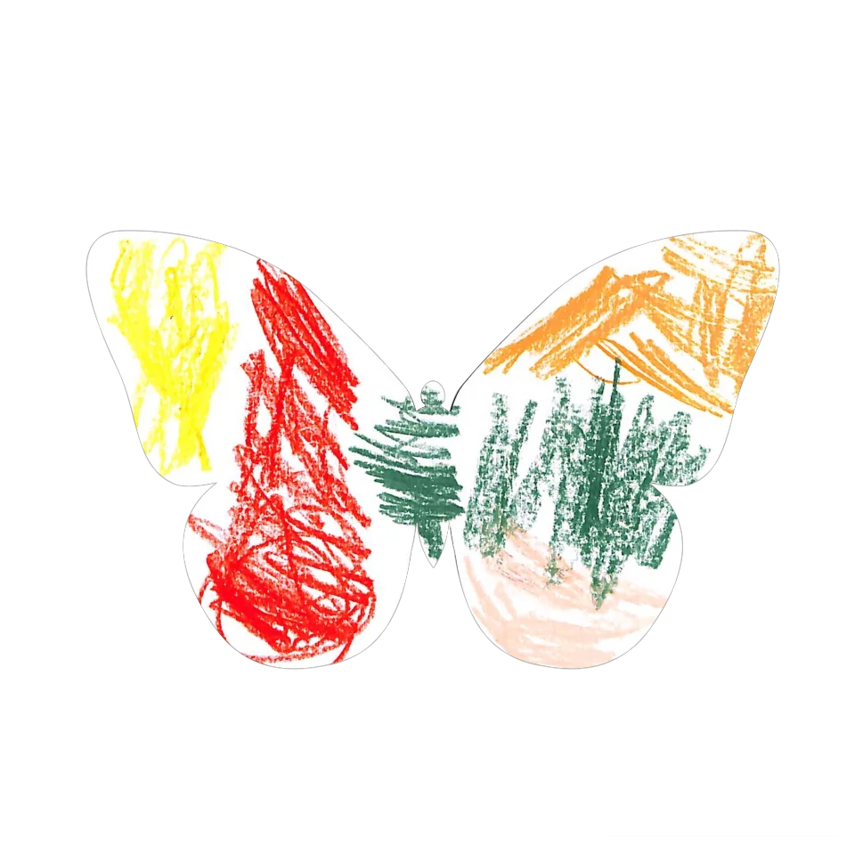 Original Butterfly Image