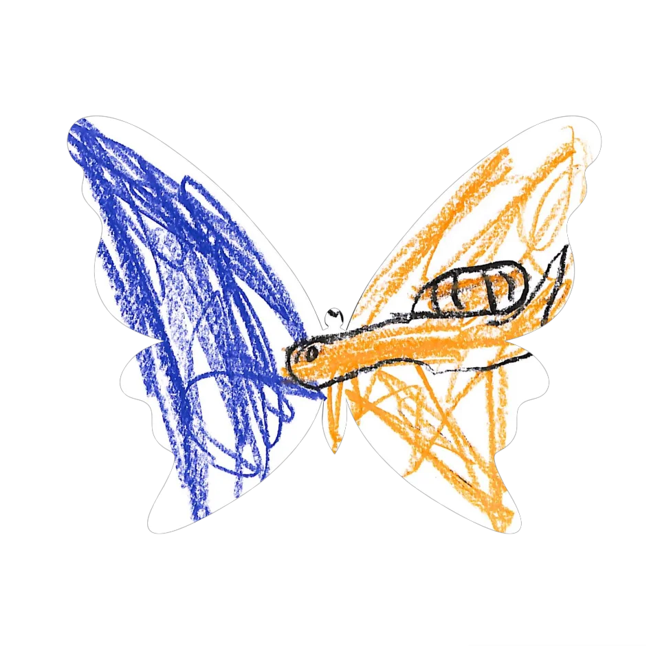 Original Butterfly Image