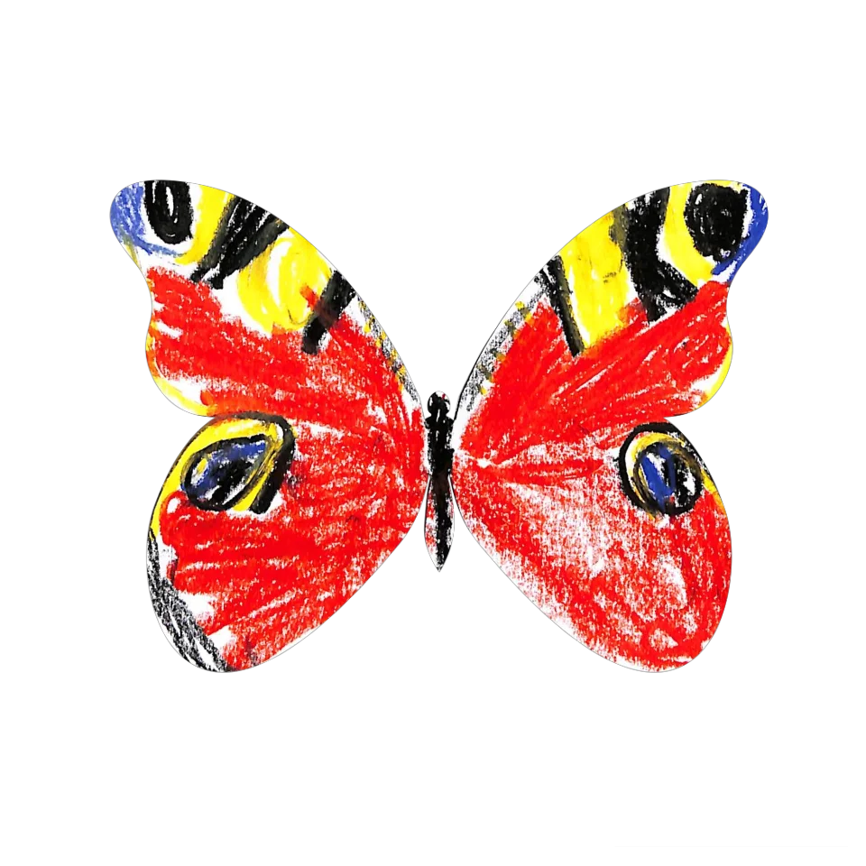 Original Butterfly Image