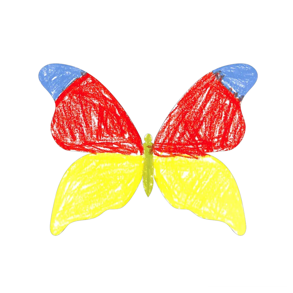 Original Butterfly Image