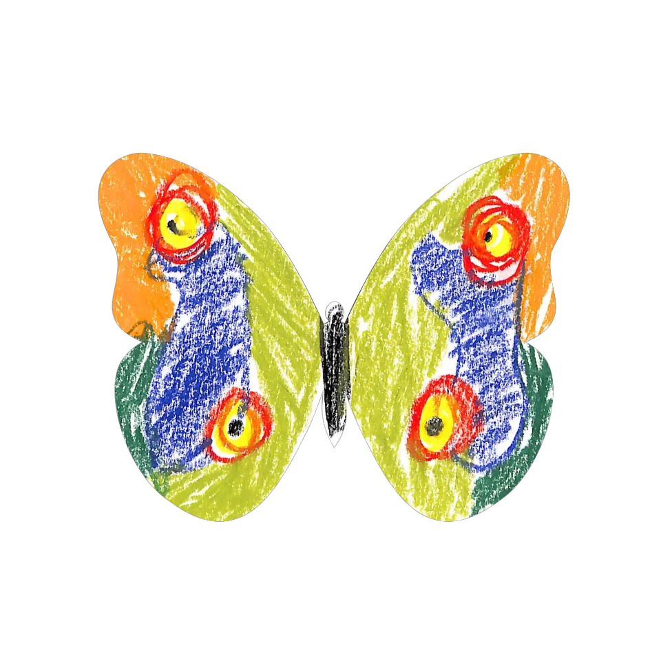 Original Butterfly Image