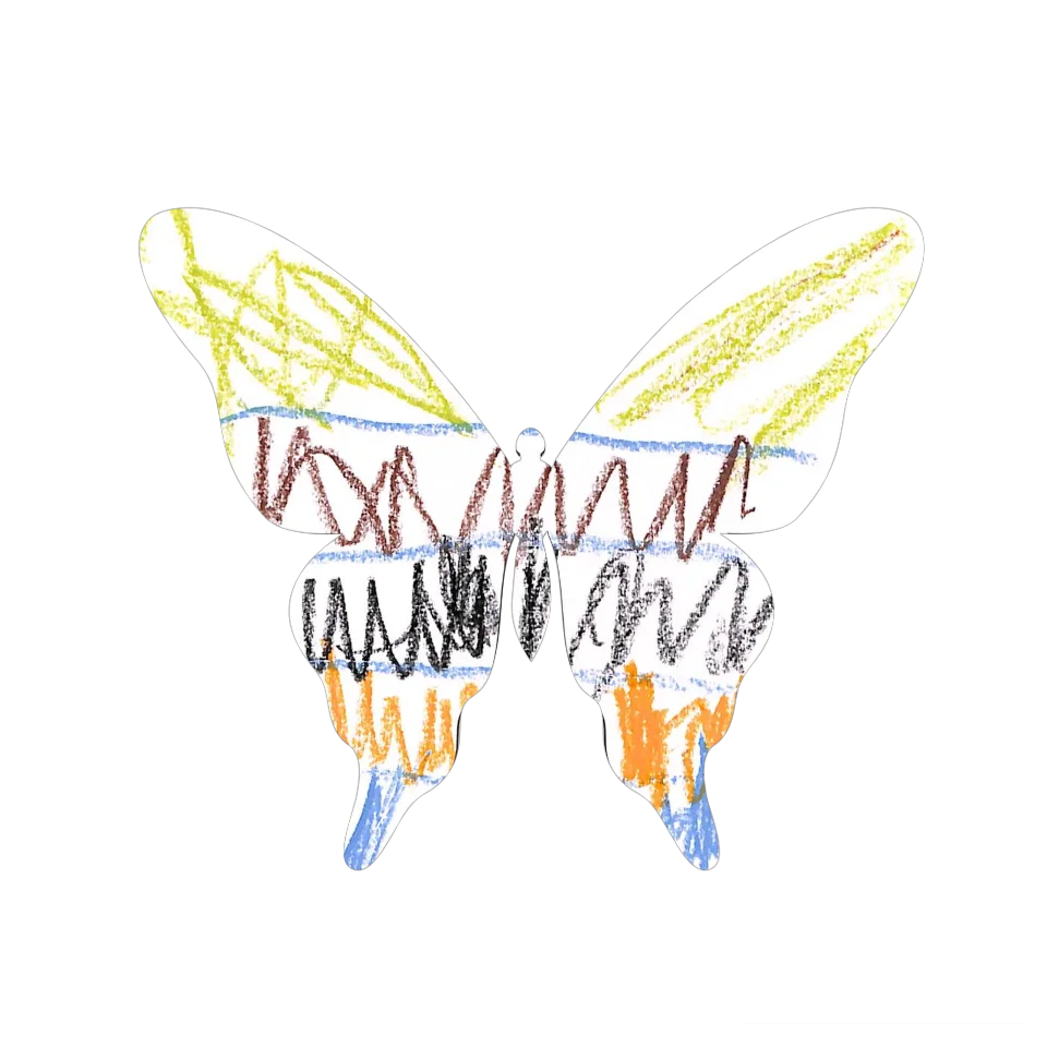 Original Butterfly Image