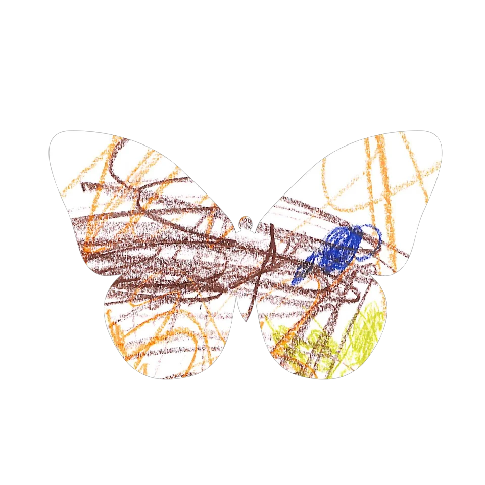 Original Butterfly Image