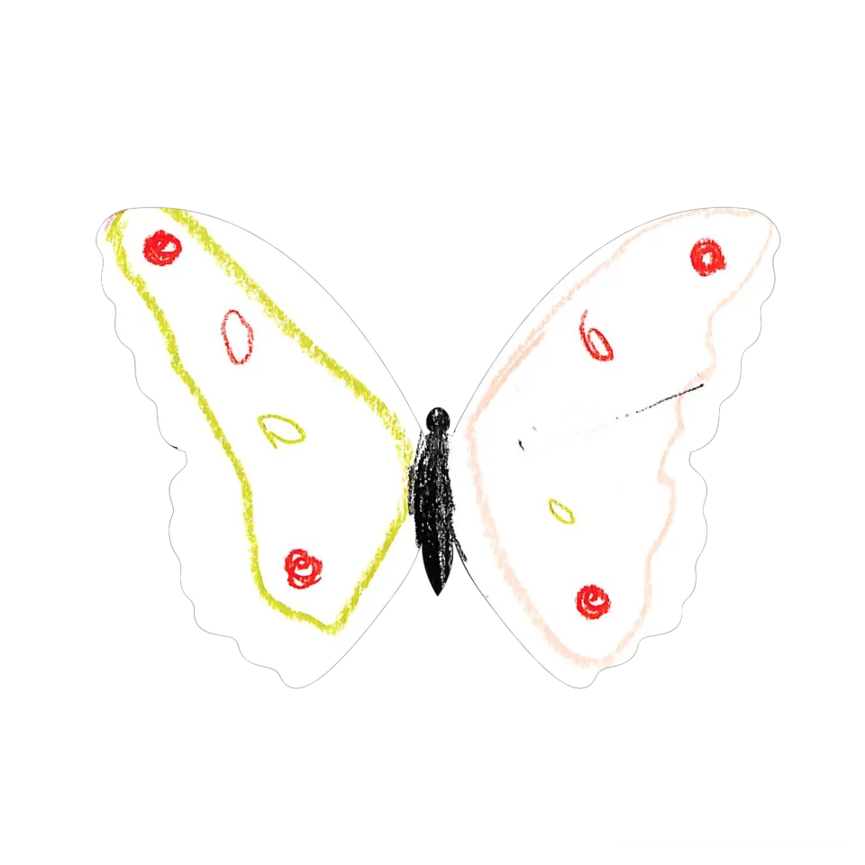 Original Butterfly Image