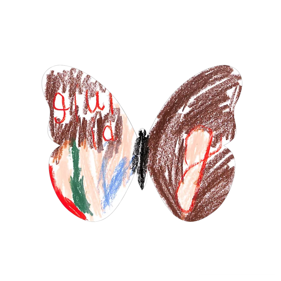 Original Butterfly Image