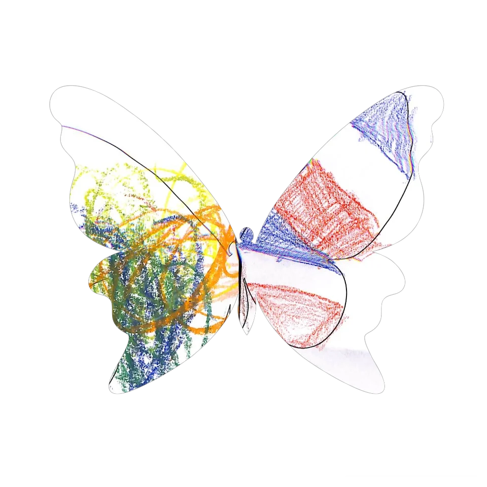 Original Butterfly Image