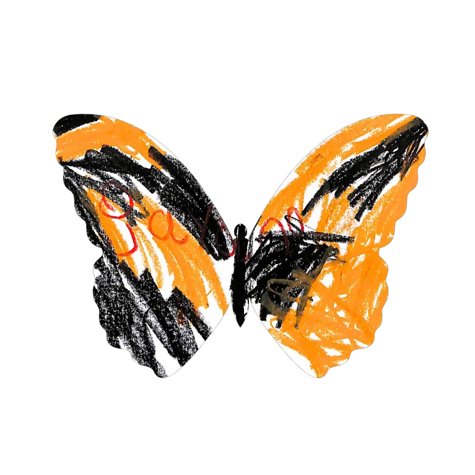 Original Butterfly Image