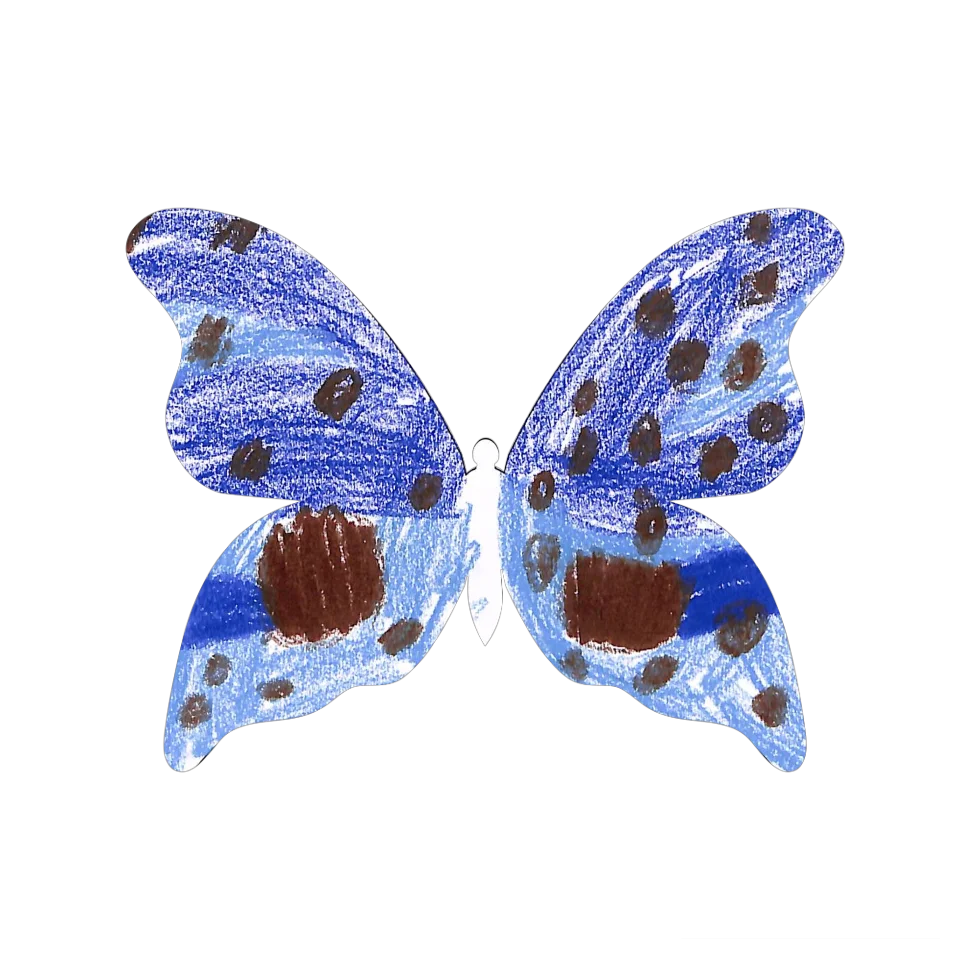 Original Butterfly Image