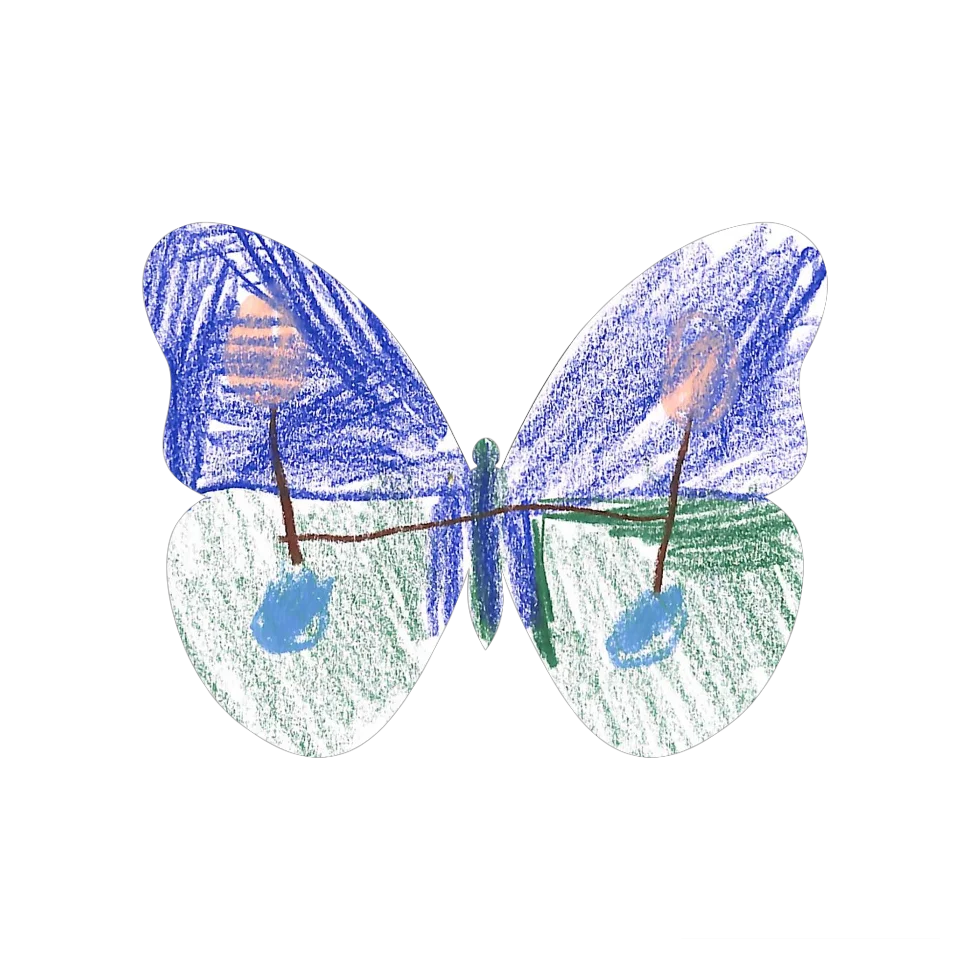 Original Butterfly Image