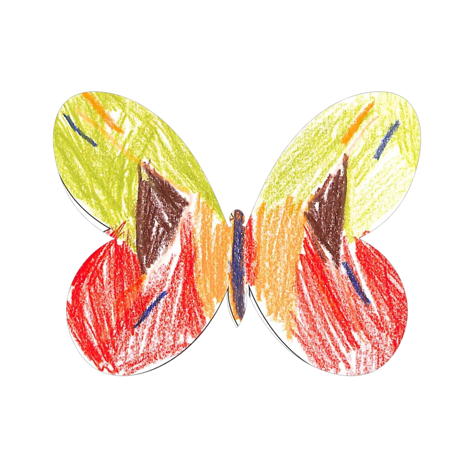 Original Butterfly Image