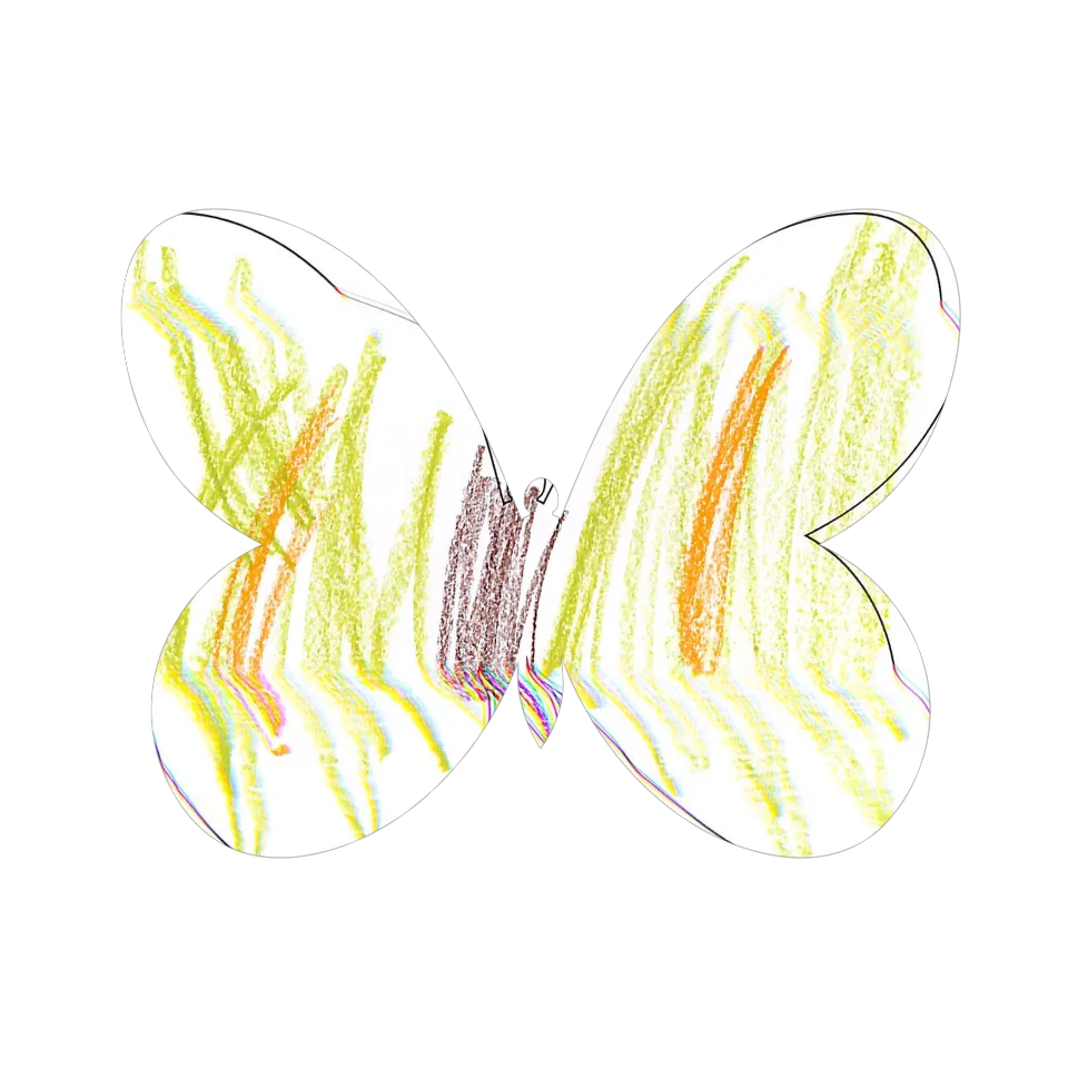 Original Butterfly Image