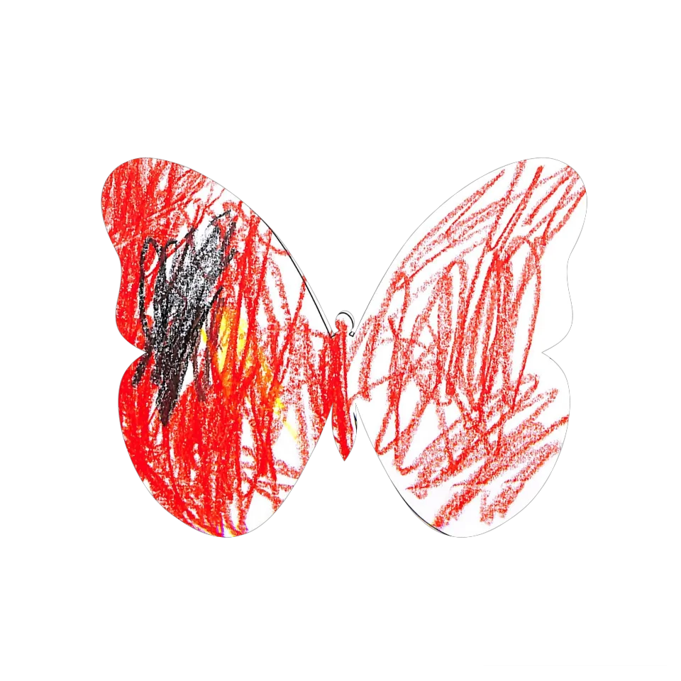 Original Butterfly Image