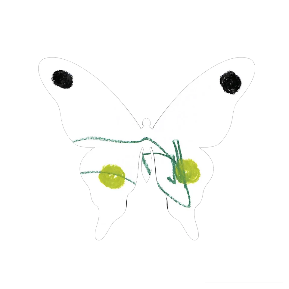 Original Butterfly Image