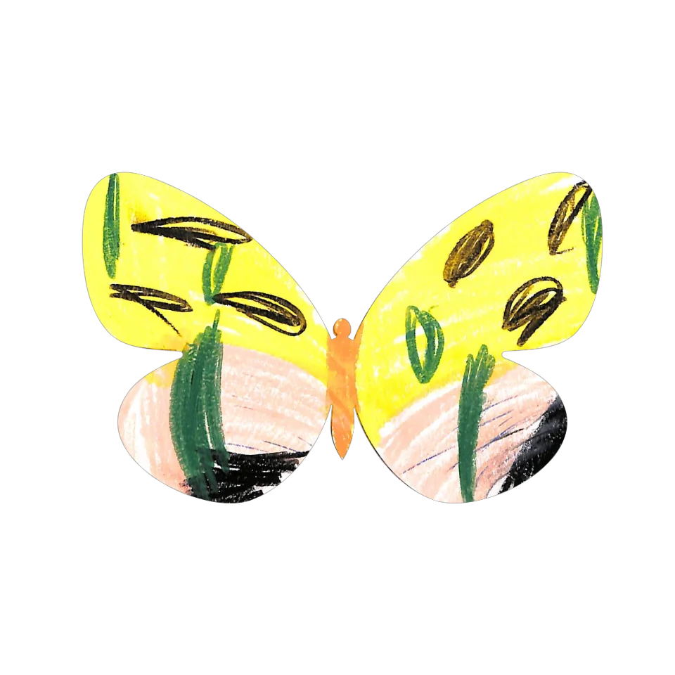 Original Butterfly Image