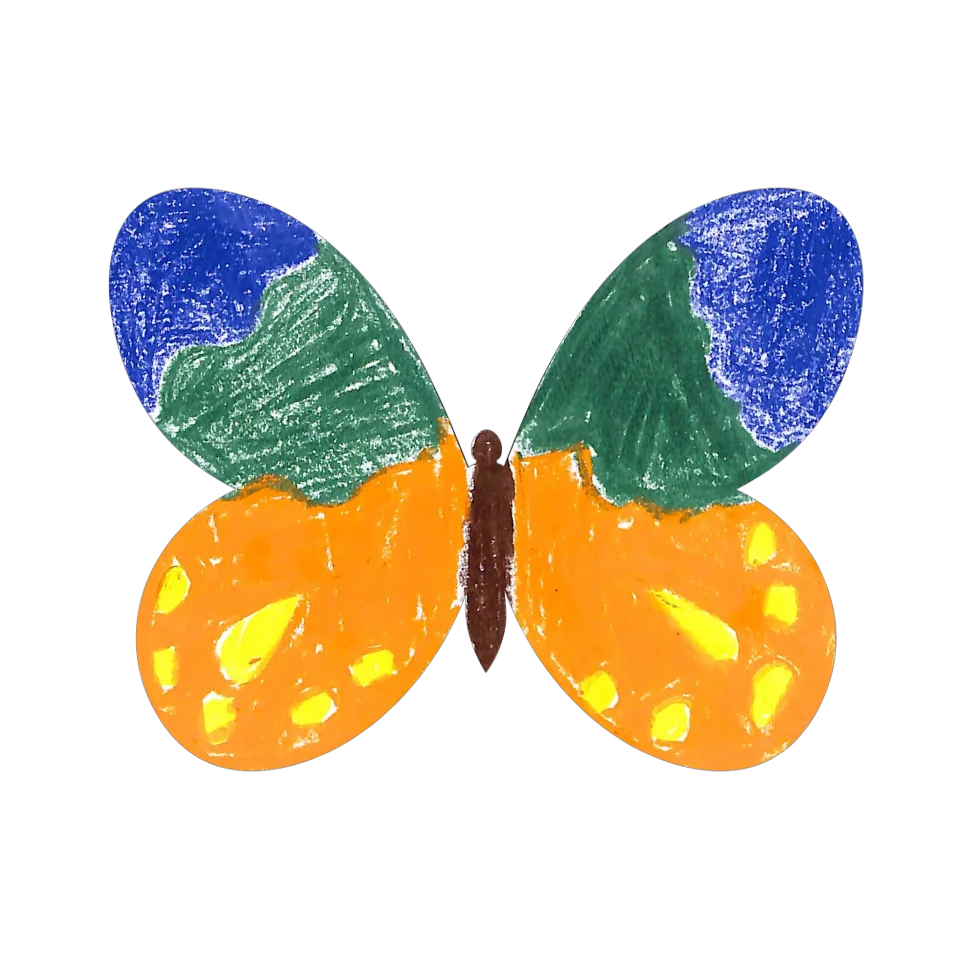 Original Butterfly Image