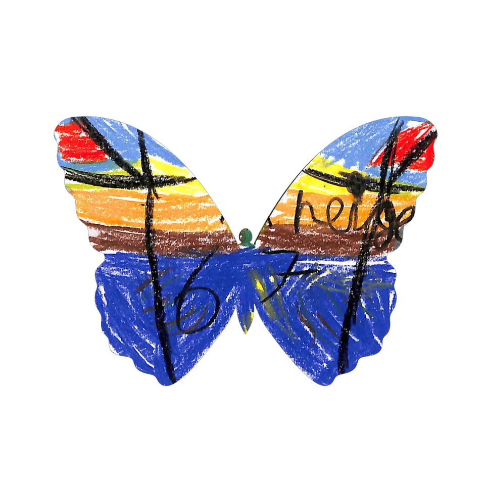 Original Butterfly Image