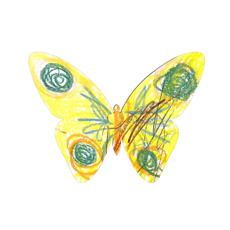 Original Butterfly Image