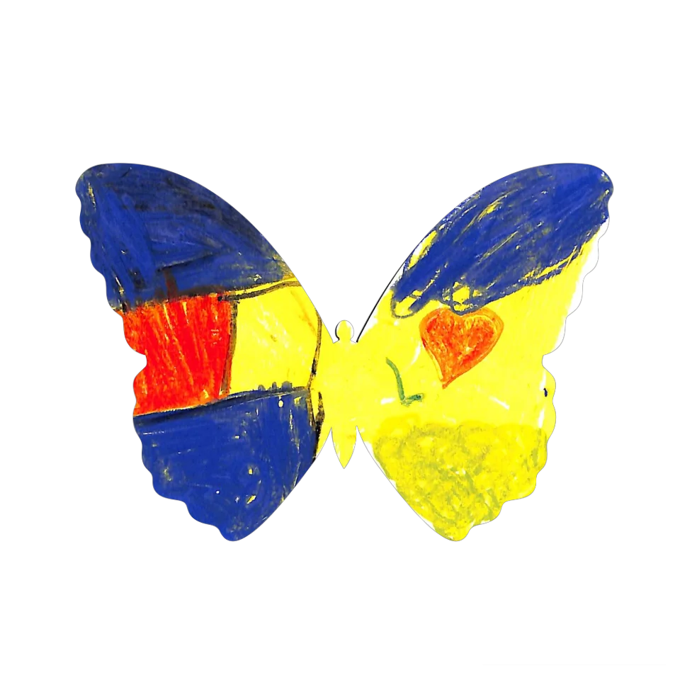 Original Butterfly Image